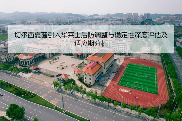 切尔西夏窗引入华莱士后防调整与稳定性深度评估及适应期分析